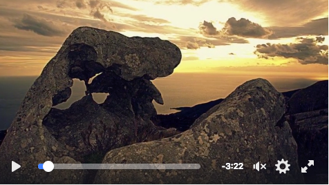 Screen Shot 2017-01-16 at 11.30.43