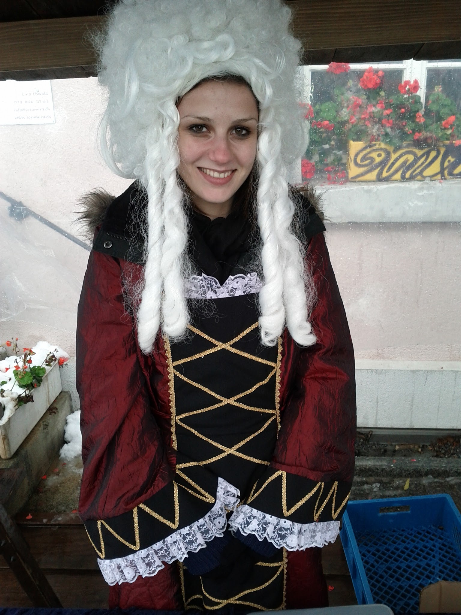 Noble mediaeval lady
