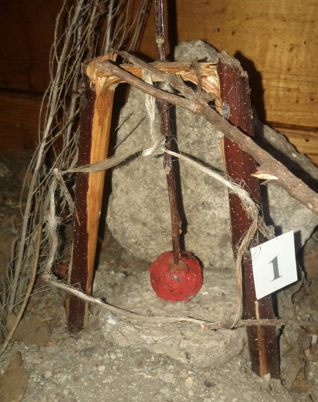 Bird trap in Il Casalino del Castagno
