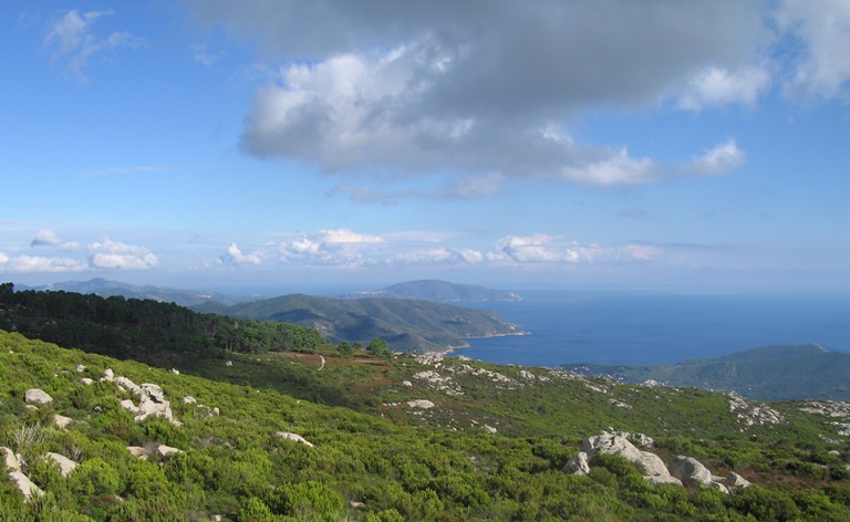South coast