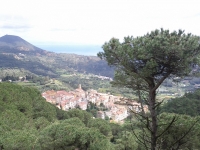 Marciana Alta from above?